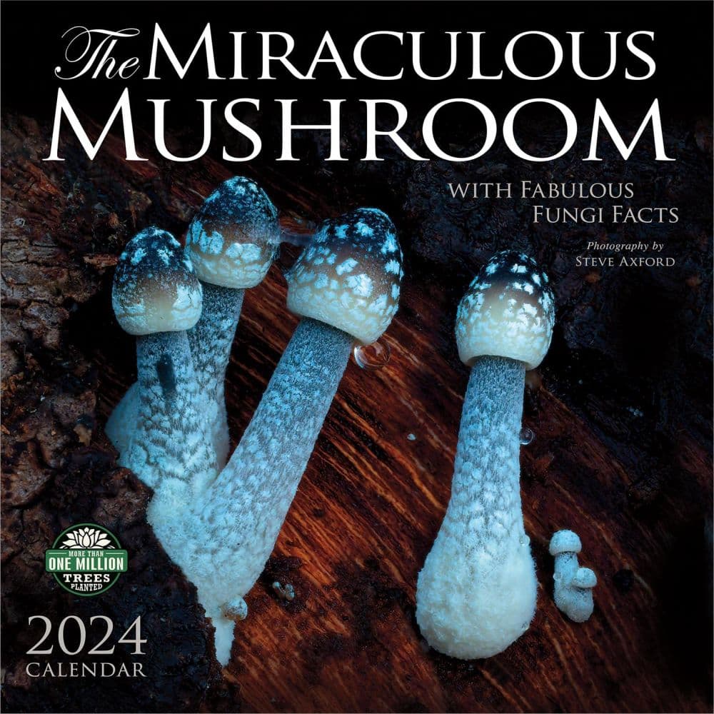 Miraculous Mushroom 2024 Wall Calendar