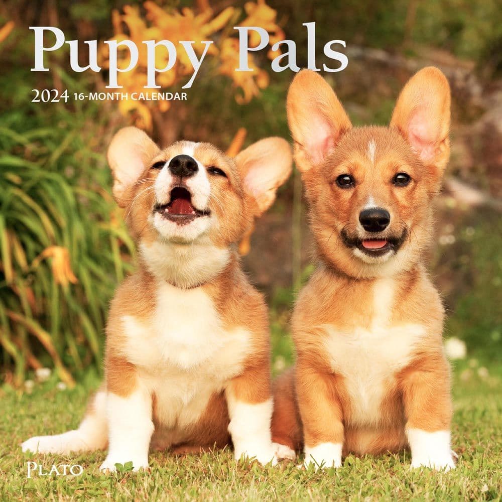 Puppies For the Love 2024 Mini Wall Calendar