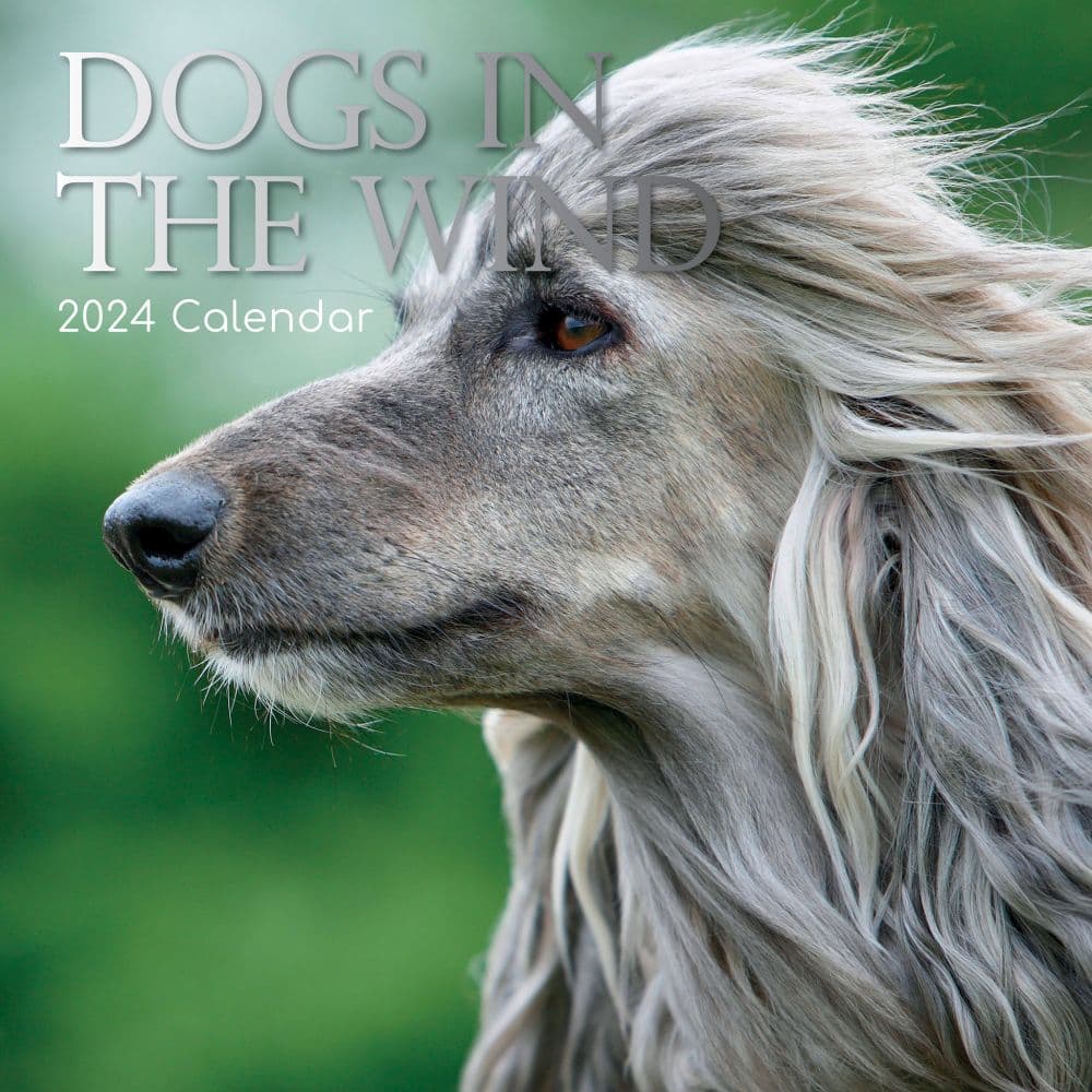 Dogs in the Wind 2024 Wall Calendar