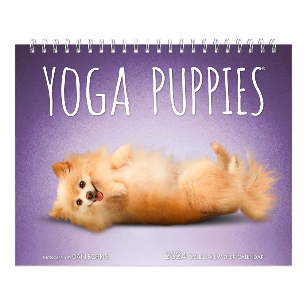 Yoga Puppies 2024 Easel Desk Calendar