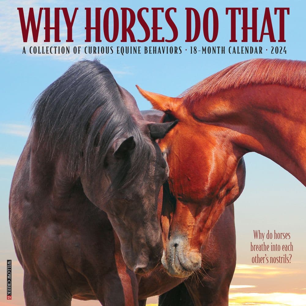 Why Horses Do That 2024 Wall Calendar