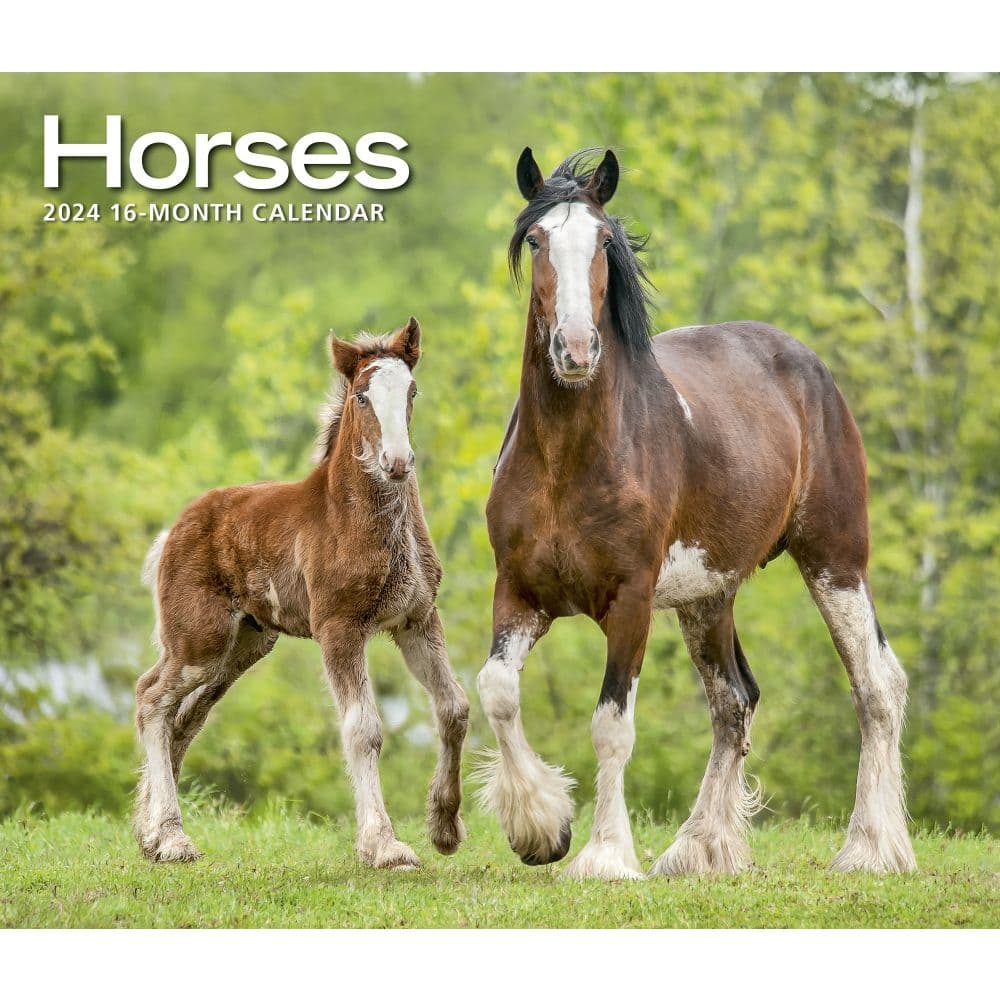 Horses Deluxe 2024 Wall Calendar