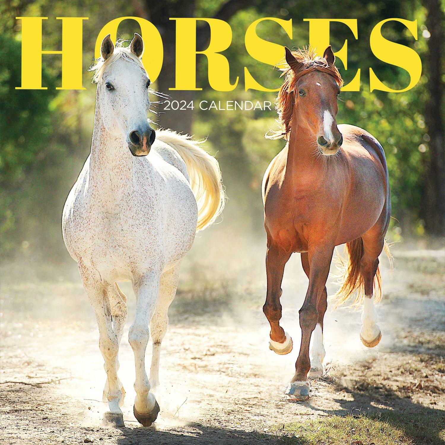 Horses 2024 Wall Calendar