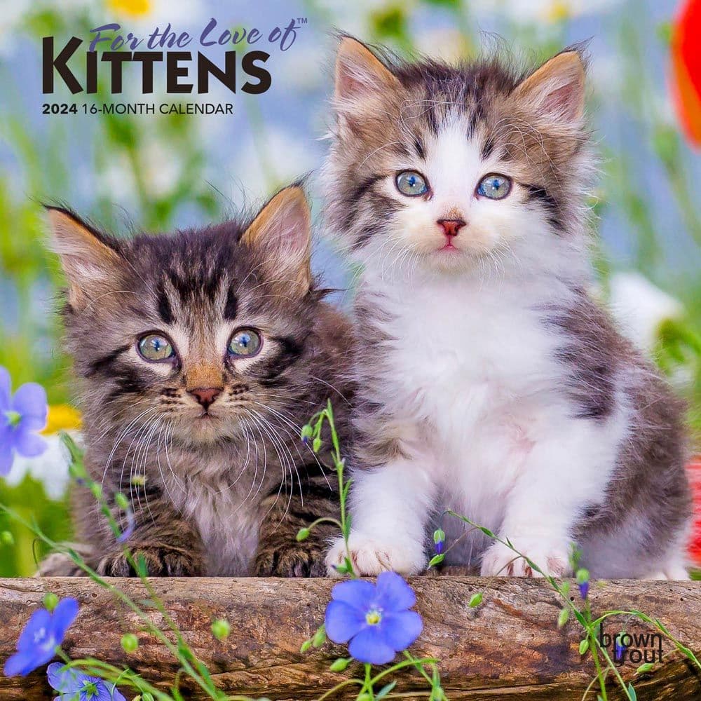 For the Love of Kittens 2024 Mini Wall Calendar