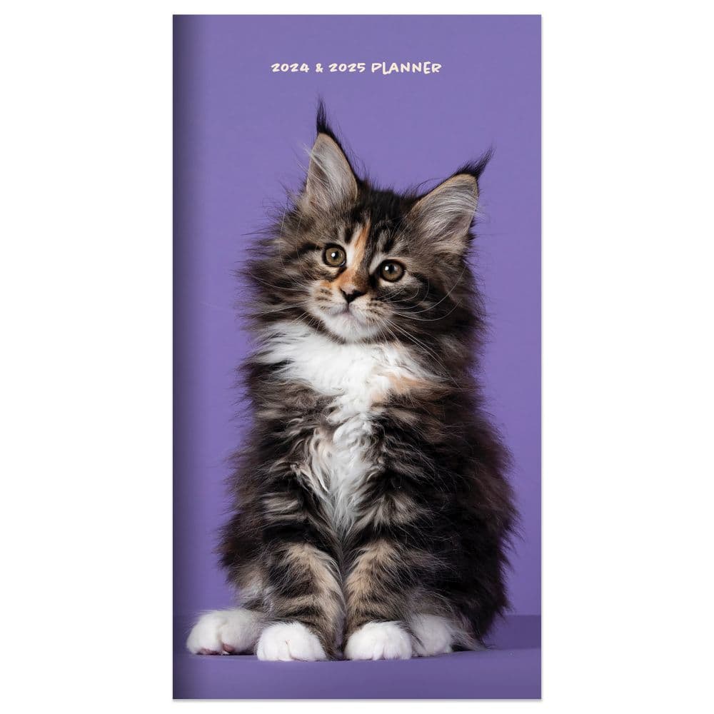 Kitten 2yr 2024 Pocket Planner