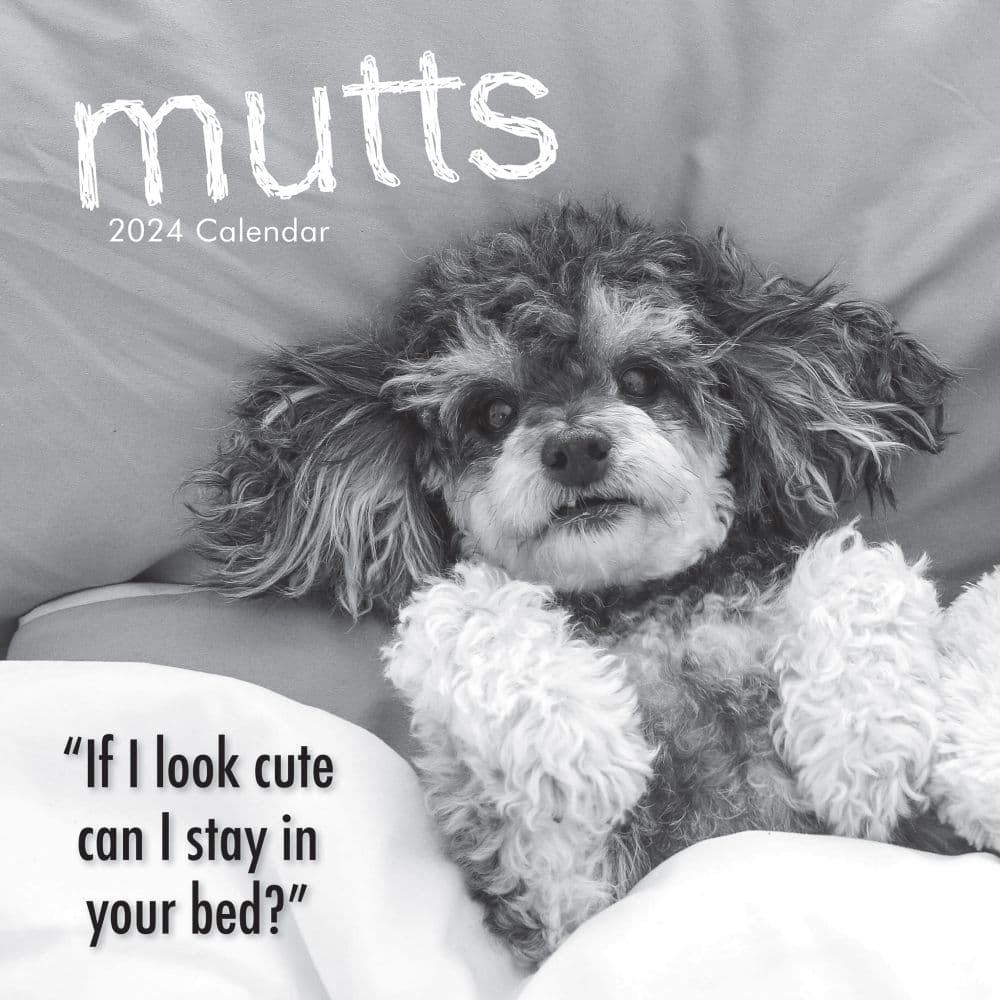 Mutts 2024 Wall Calendar