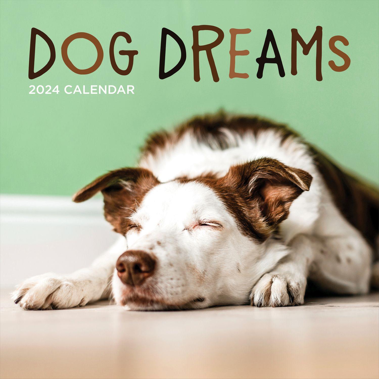 Dog Dreams 2024 Wall Calendar