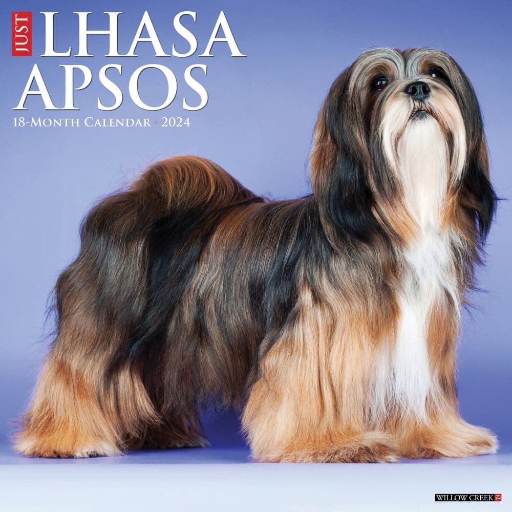 Lhasa Apsos 2024 Wall Calendar