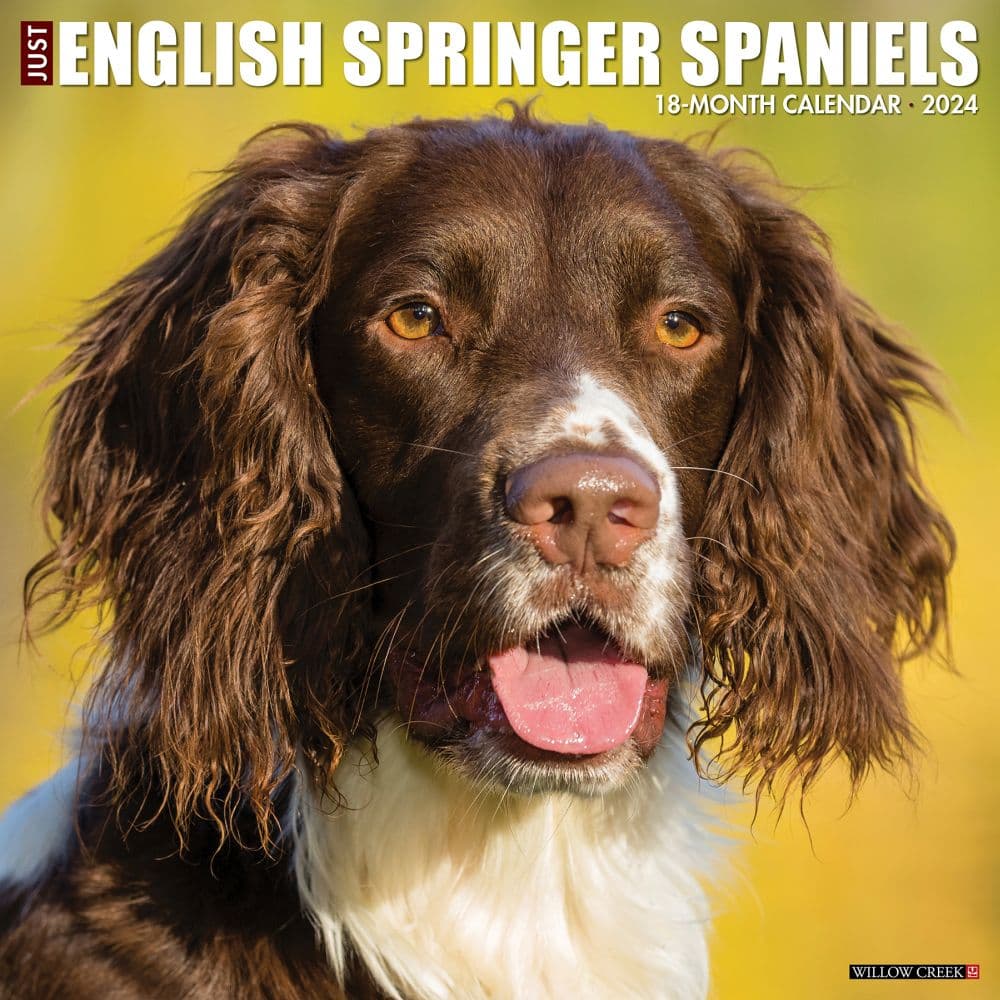 Just English Springer Spaniels 2024 Wall Calendar