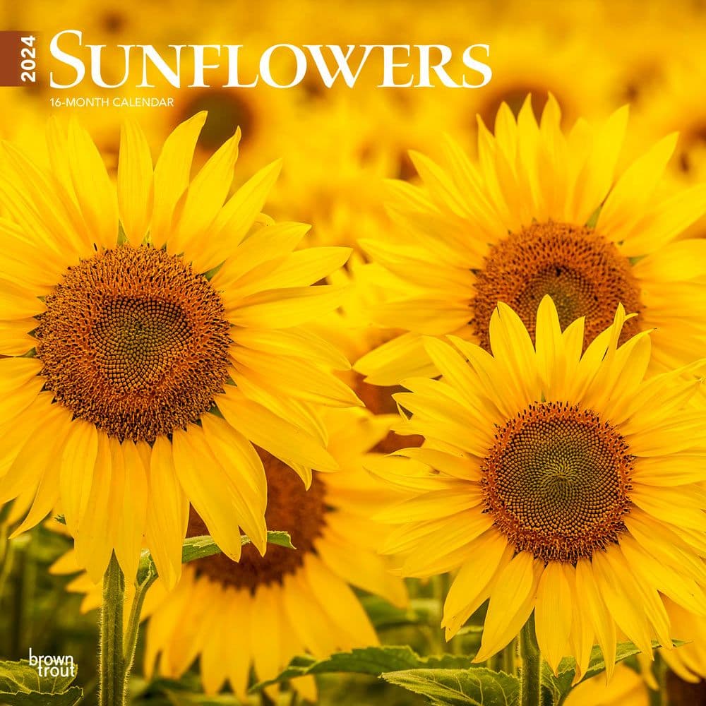 Sunflowers 2024 Wall Calendar