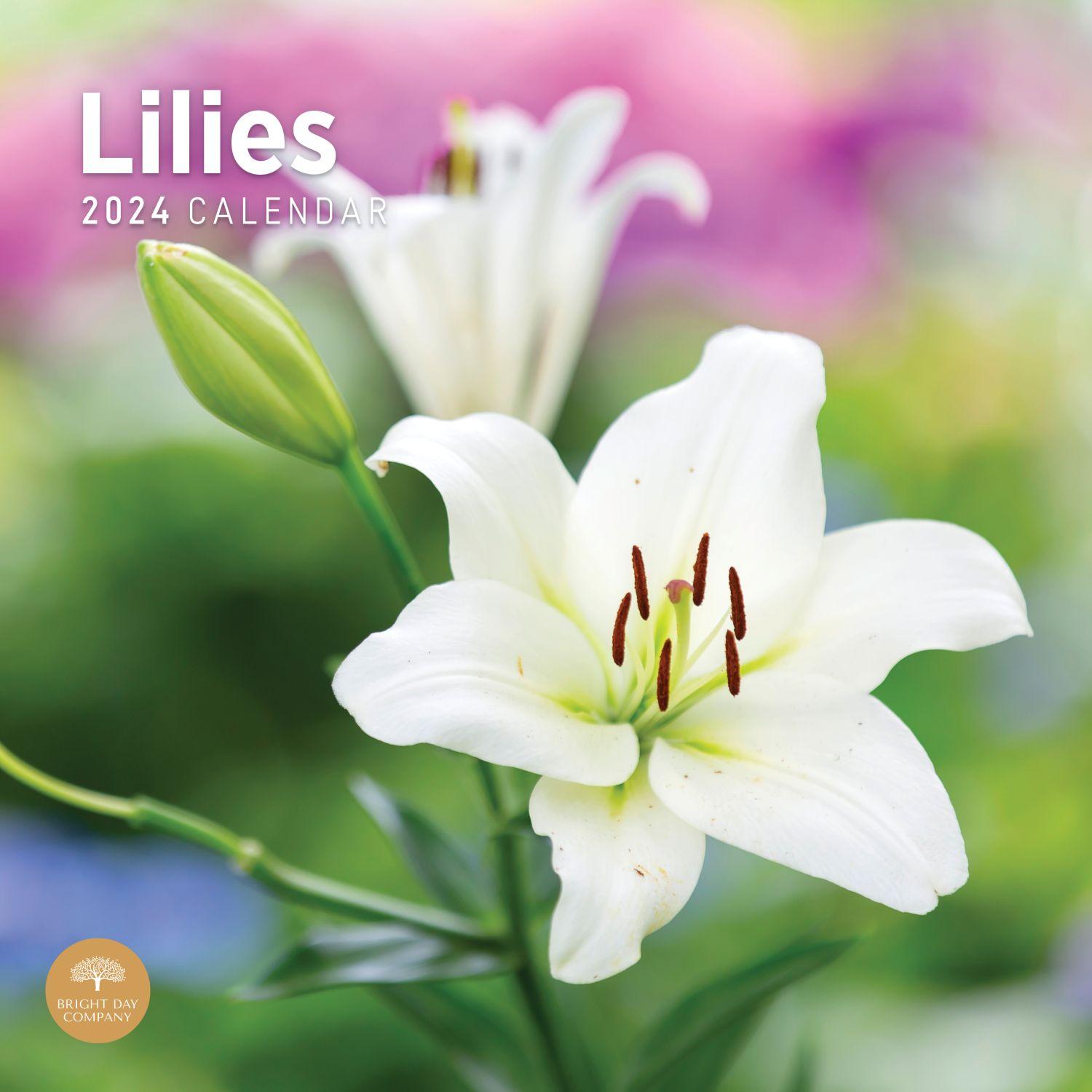 Lilies 2024 Wall Calendar