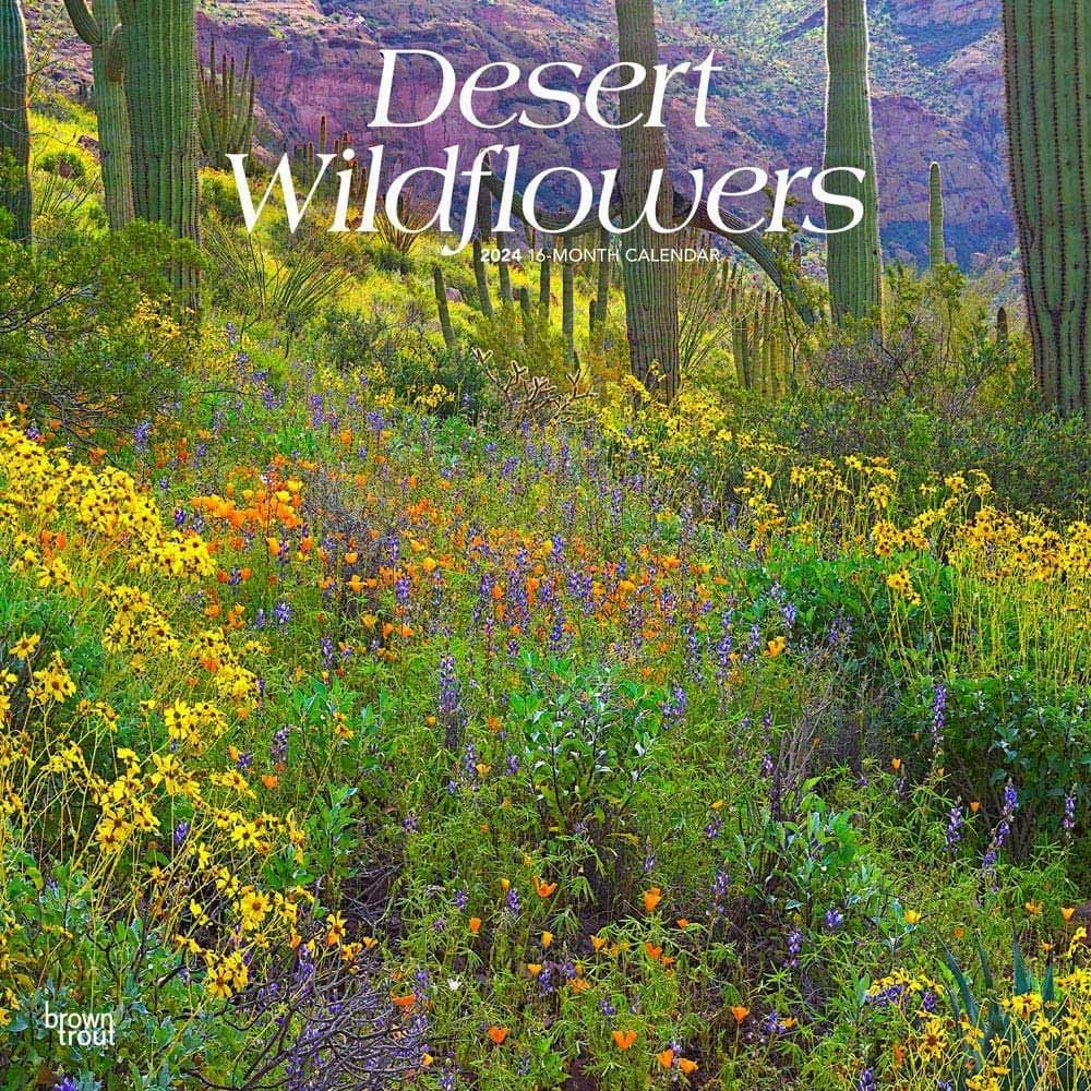 Desert Wildflowers 2024 Wall Calendar