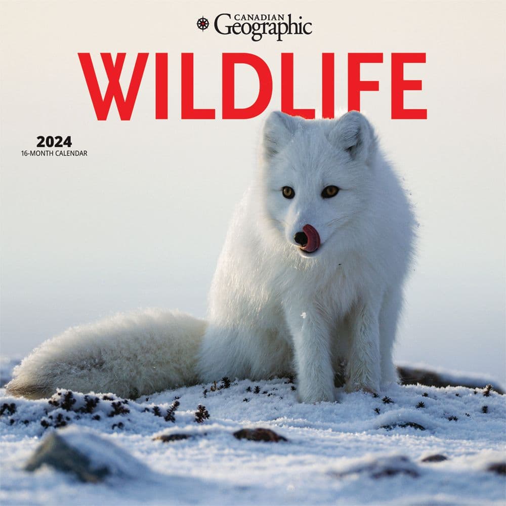 Wildlife 2024 Wall Calendar