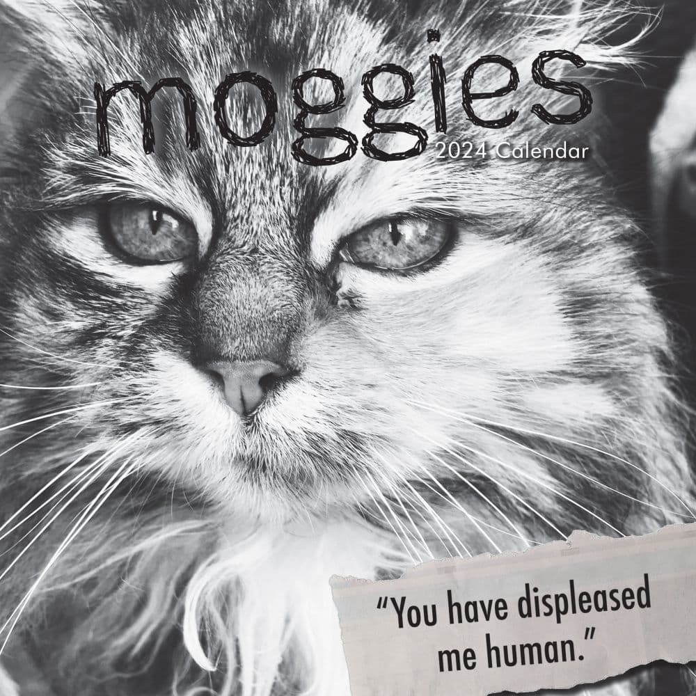 Moggies 2024 Wall Calendar