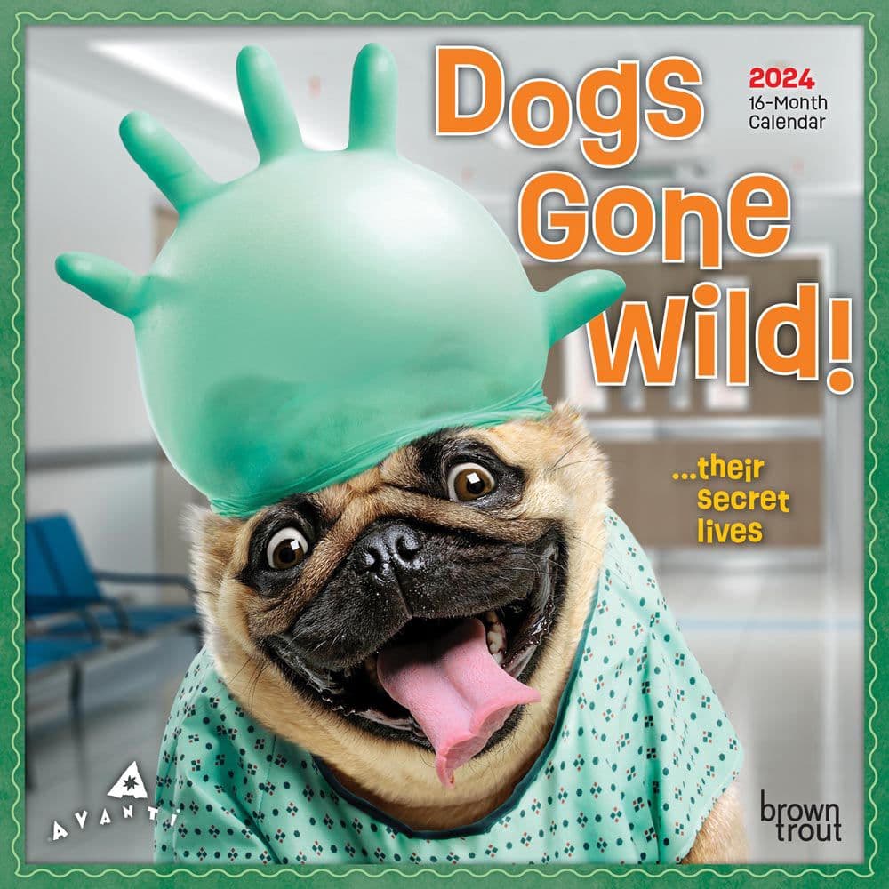 Avanti Dogs Gone Wild 2024 Mini Wall Calendar