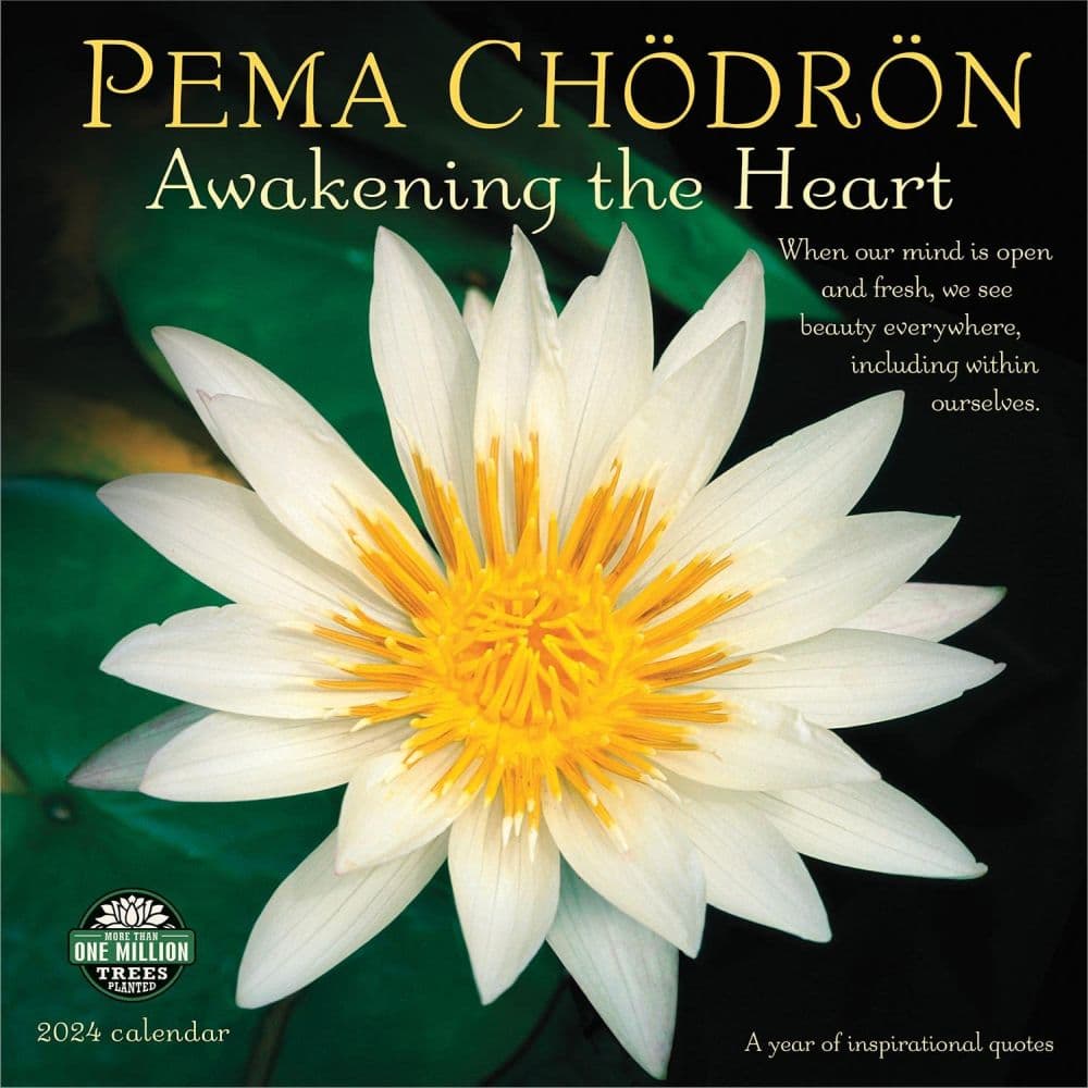 Pema Chodron 2024 Wall Calendar