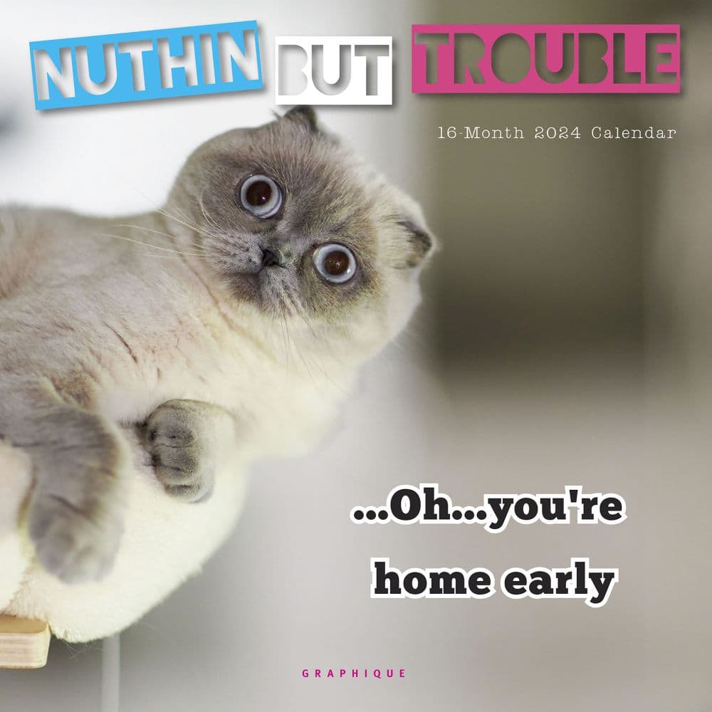 Nuthin But Trouble 2024 Mini Wall Calendar