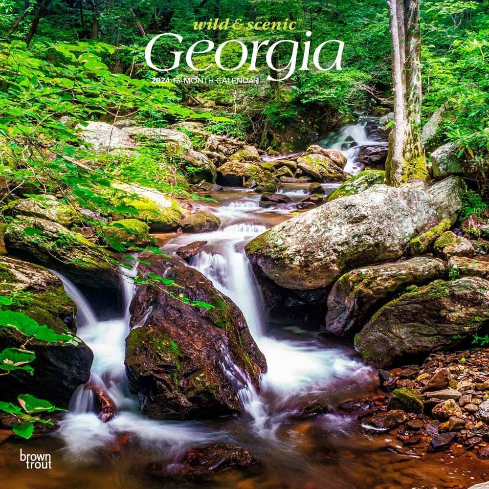 Georgia Wild and Scenic 2024 Wall Calendar