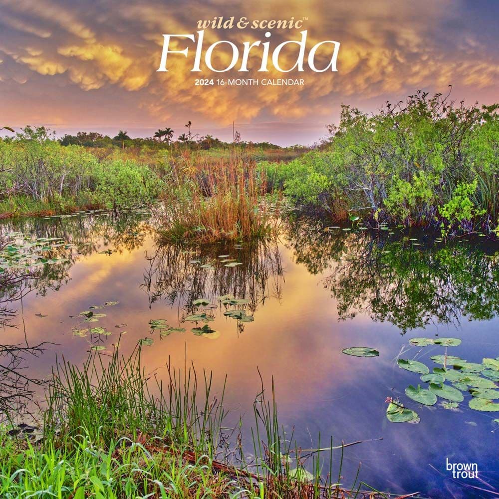 Florida Wild and Scenic 2024 Wall Calendar