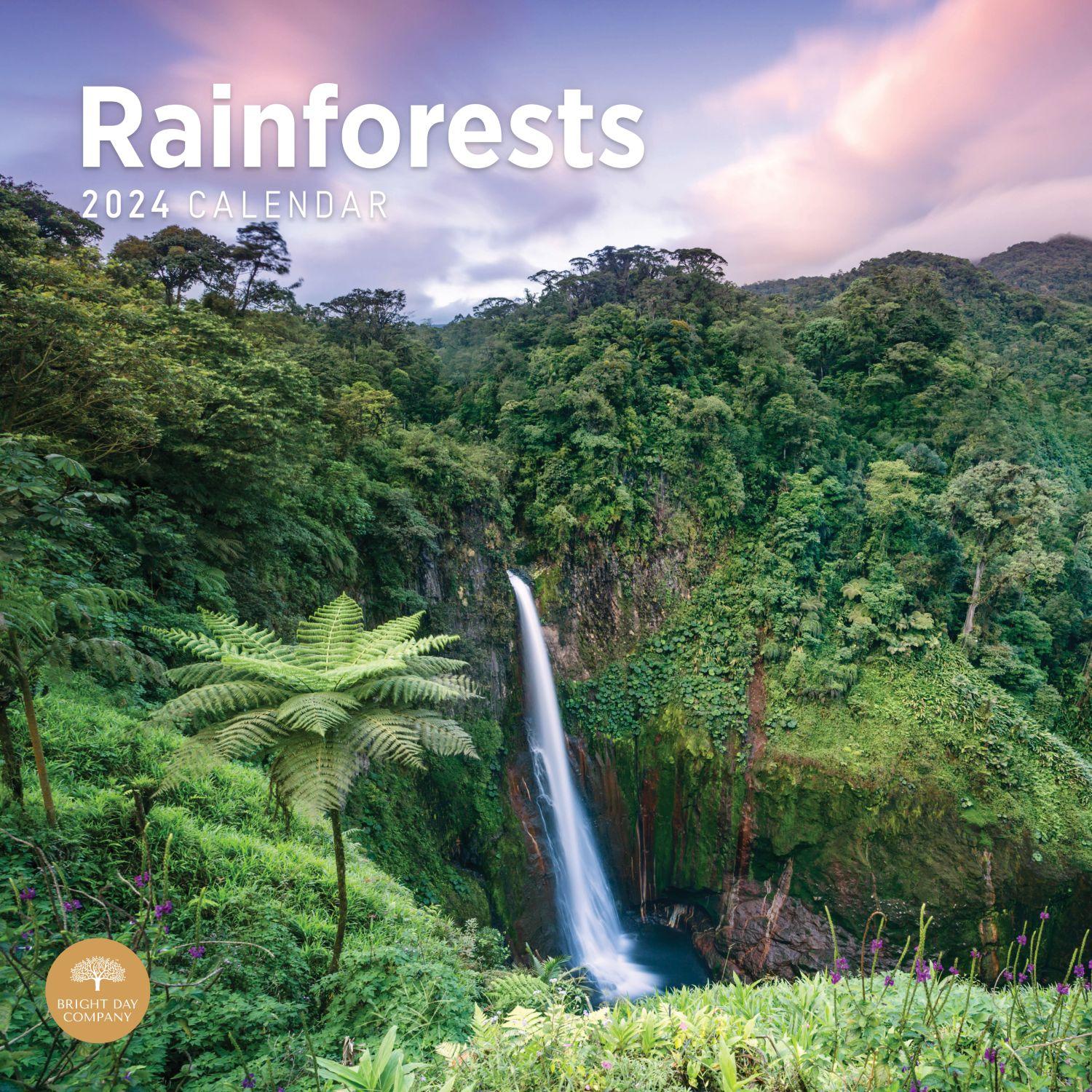 Rainforests 2024 Wall Calendar