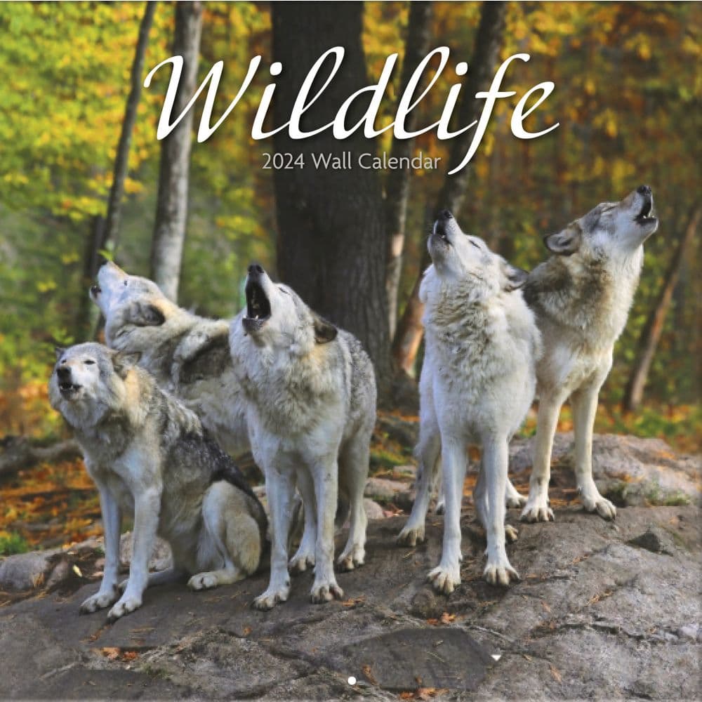 Wildlife 2024 Wall Calendar