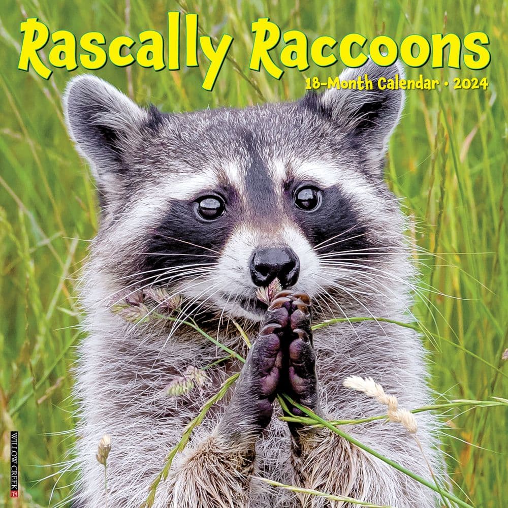 Rascally Raccoons 2024 Wall Calendar