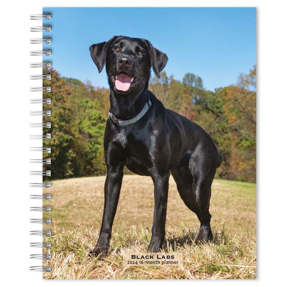 Black Labrador Retrievers 2024 Planner