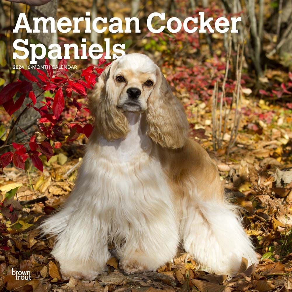 American Cocker Spaniels 2024 Wall Calendar