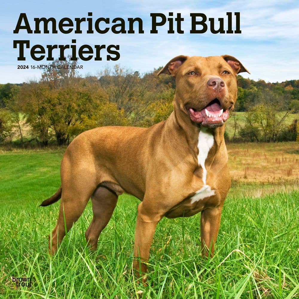 Pit Bull Terriers 2024 Wall Calendar