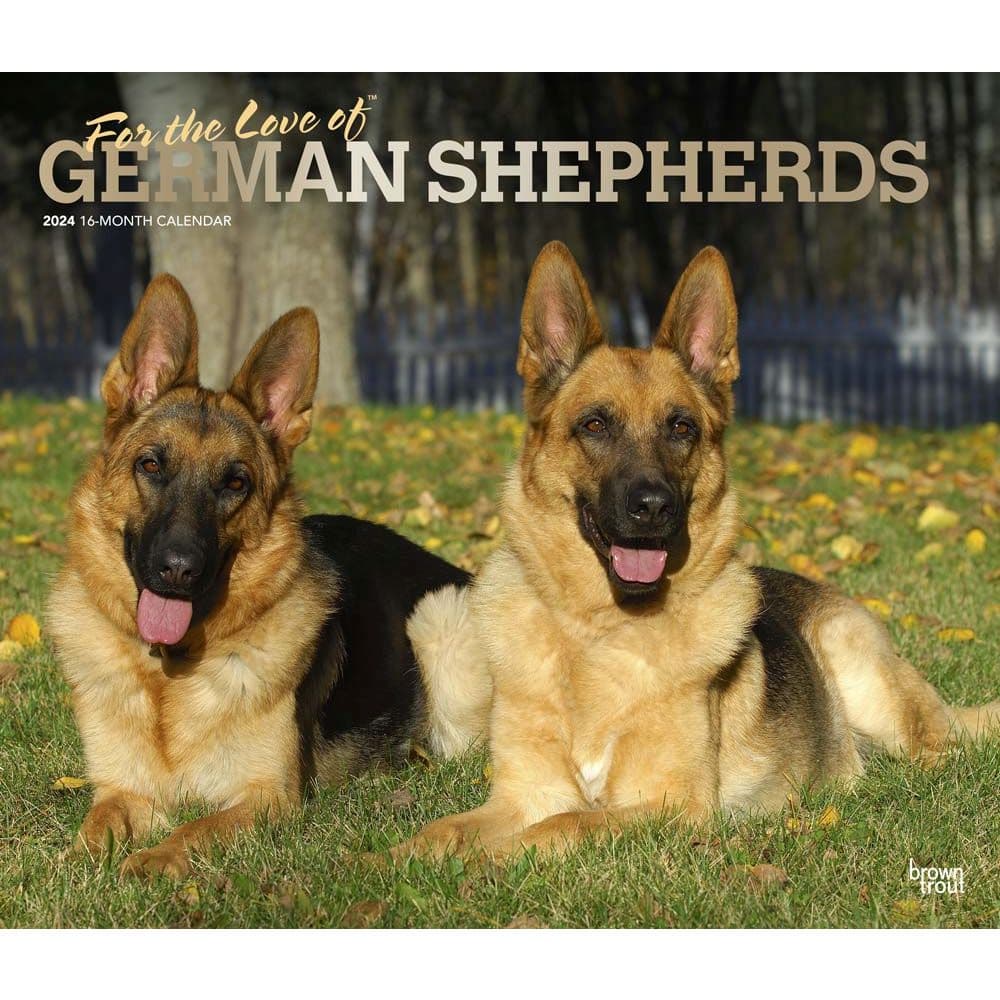 German Shepherds Deluxe 2024 Wall Calendar