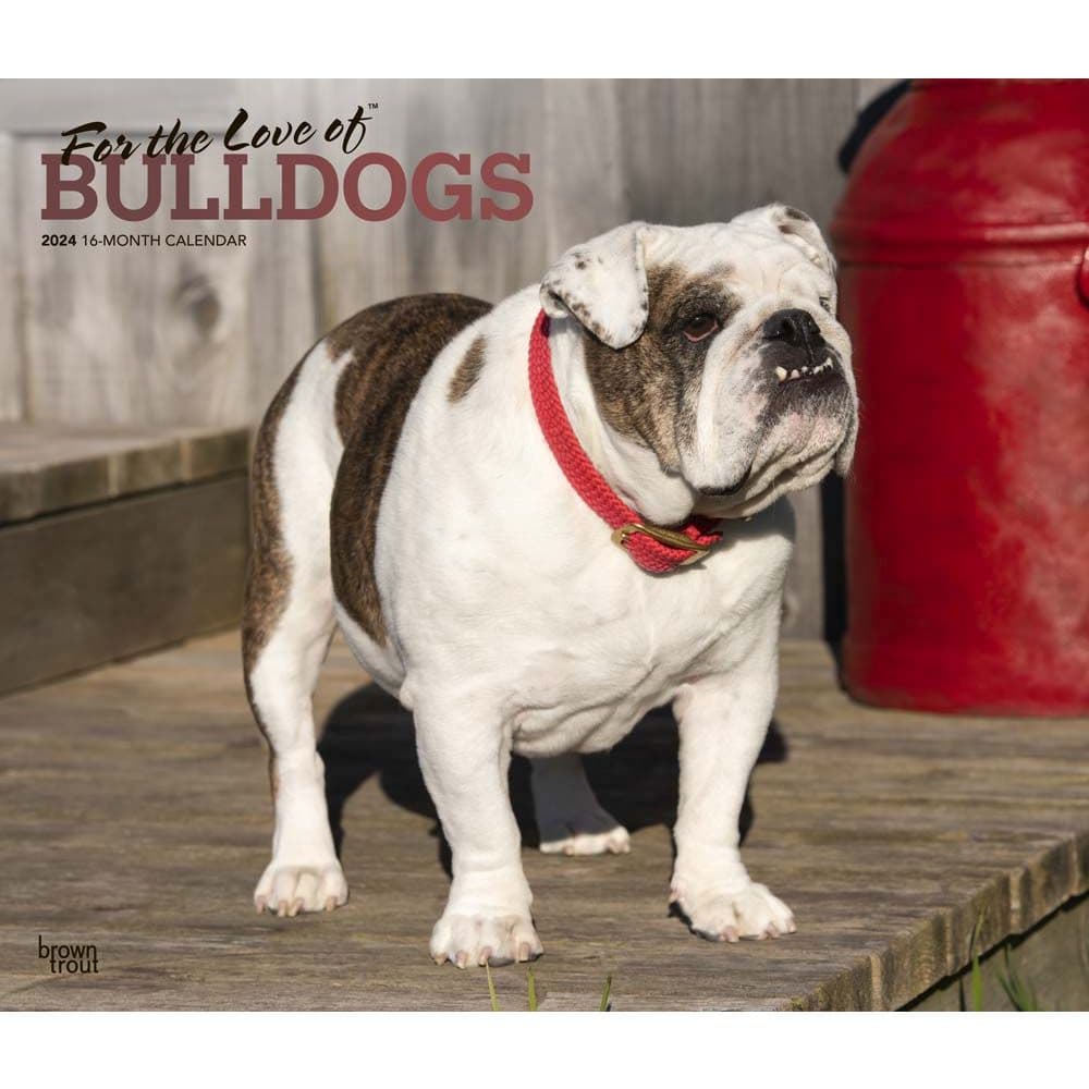 Bulldogs Deluxe 2024 Wall Calendar