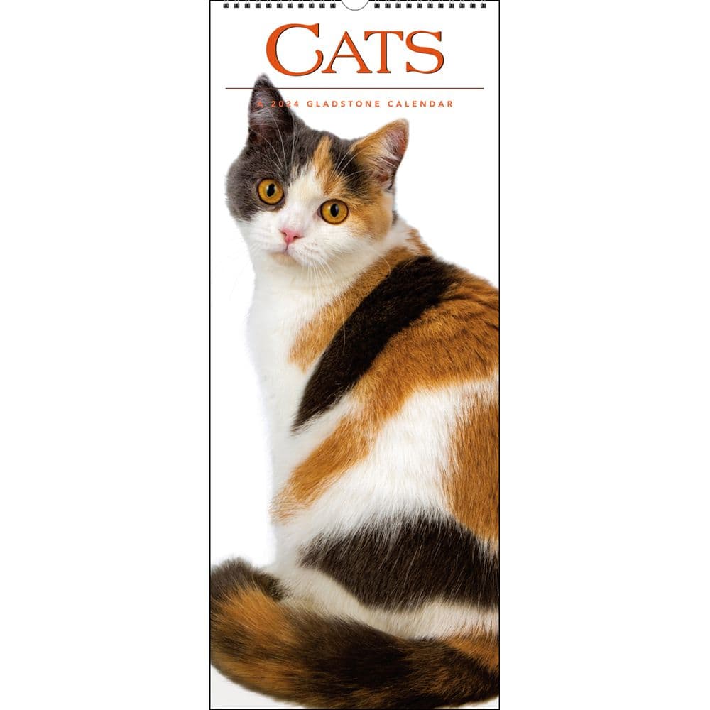 Cats Vertical 2024 Wall Calendar