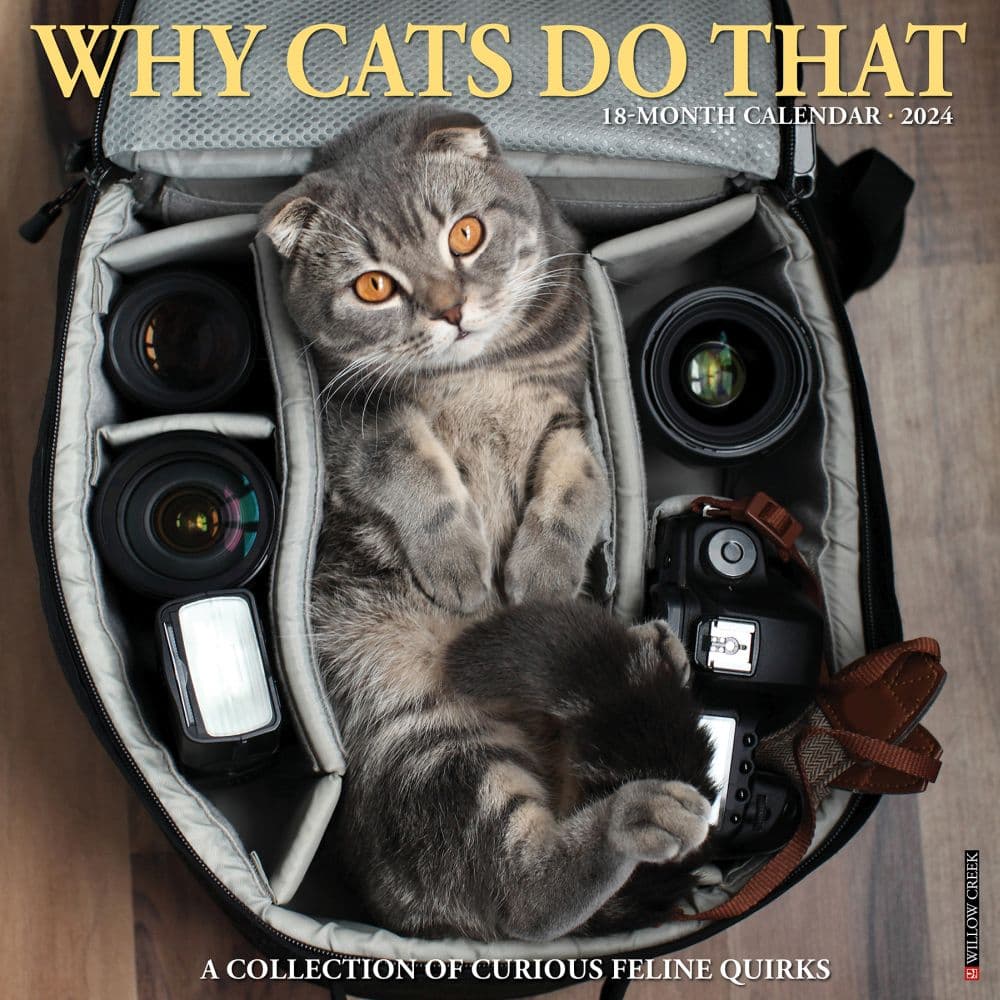 Why Cats Do That 2024 Wall Calendar