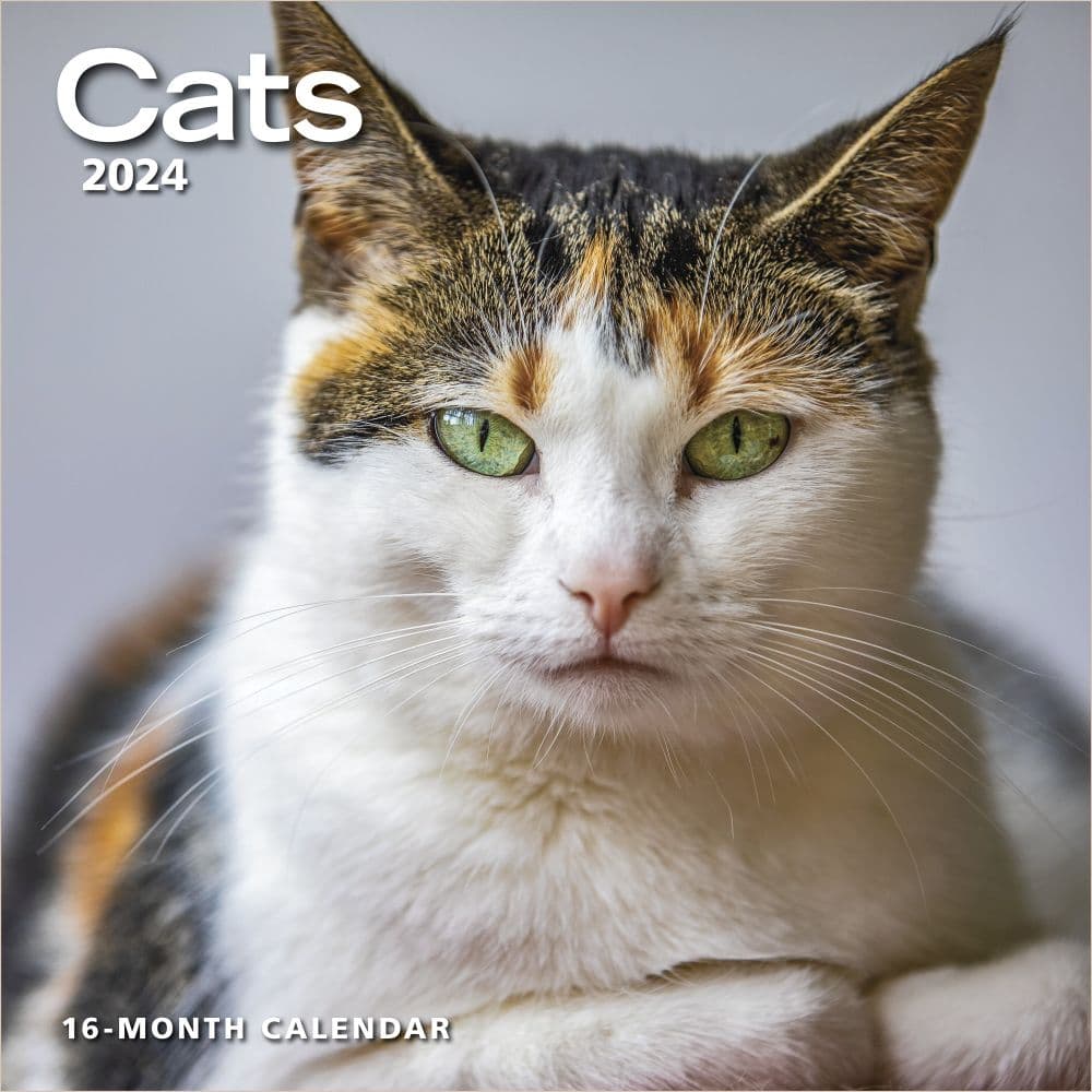 Cats 2024 Wall Calendar