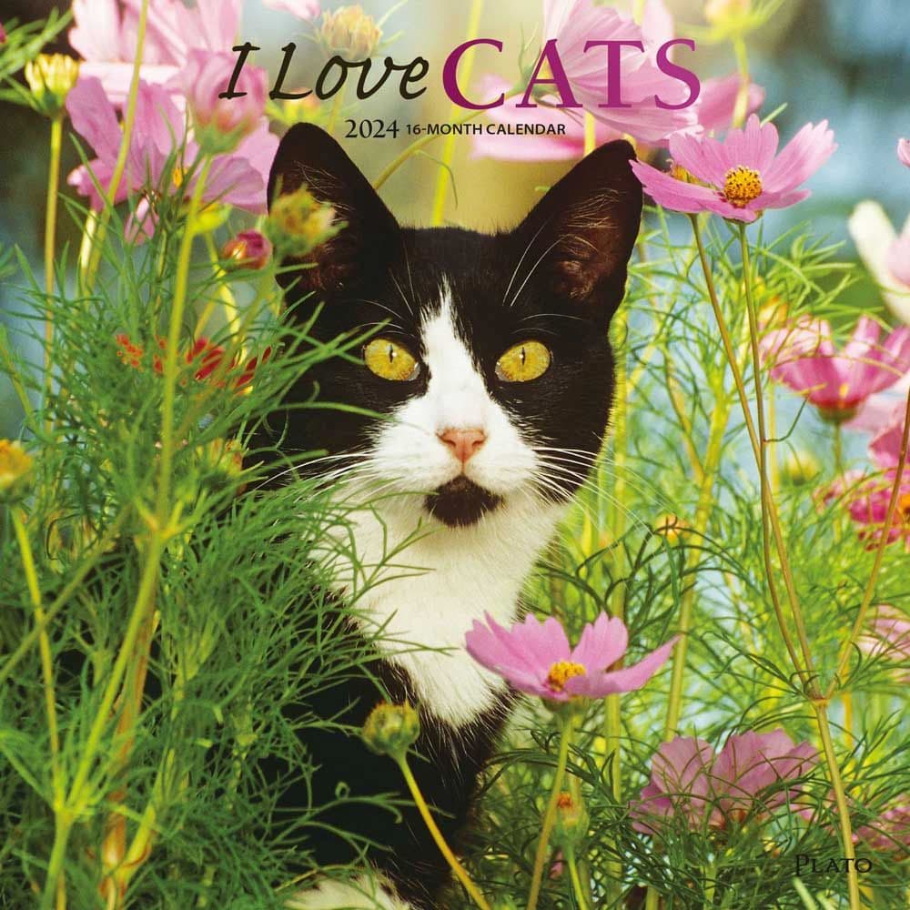 I Love Cats 2024 Wall Calendar