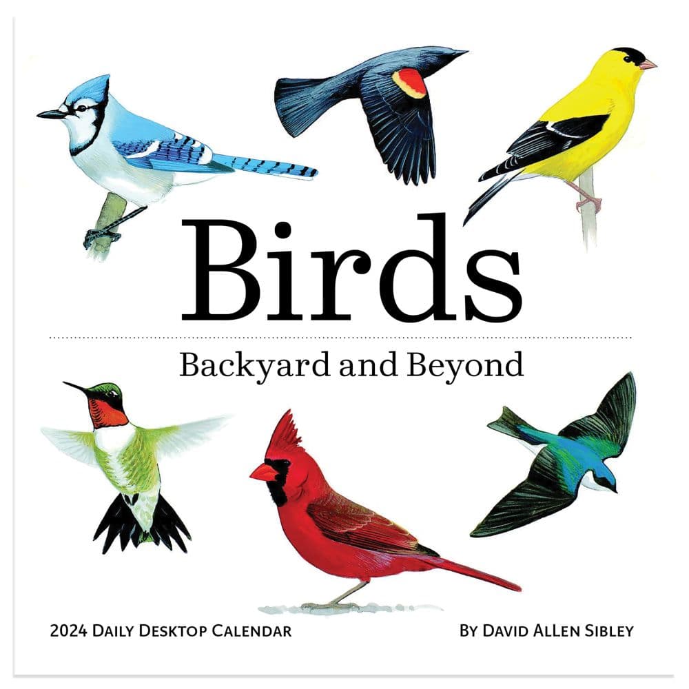 Birds Backyard And Beyond 2024 Desk Calendar