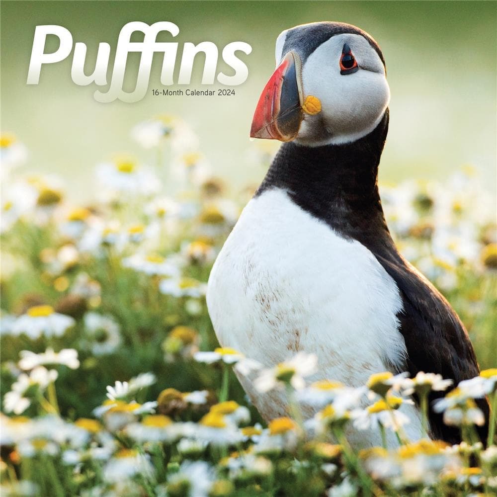 Puffins 2024 Wall Calendar