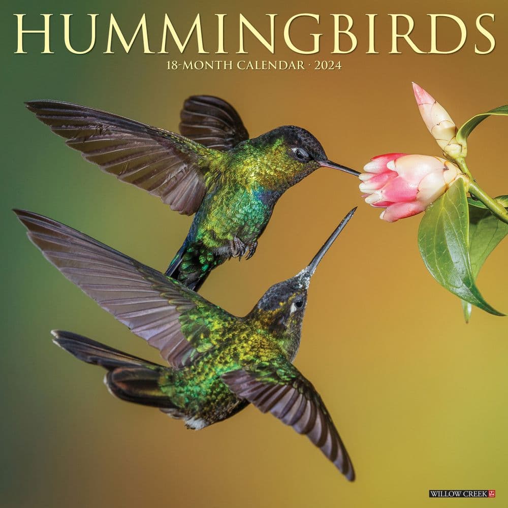 Hummingbirds 2024 Wall Calendar