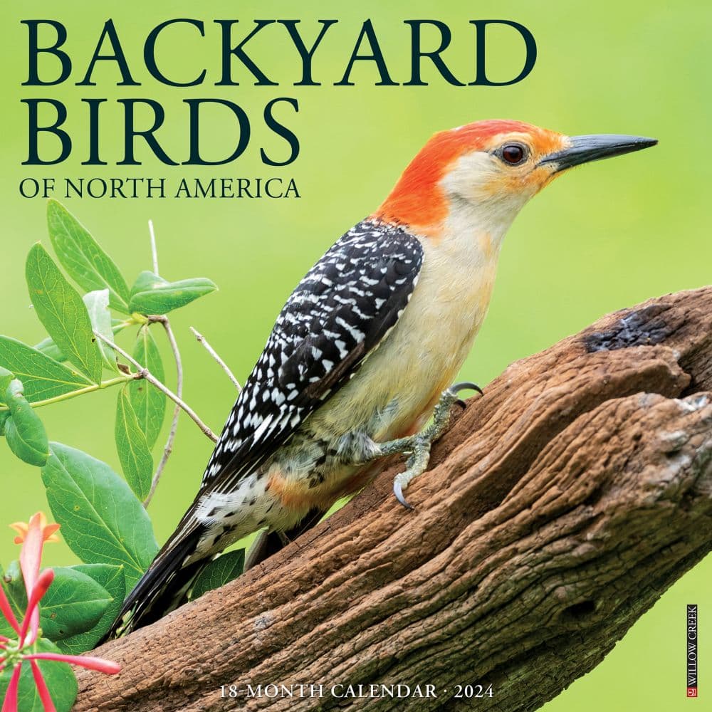 Birds Backyard 2024 Wall Calendar