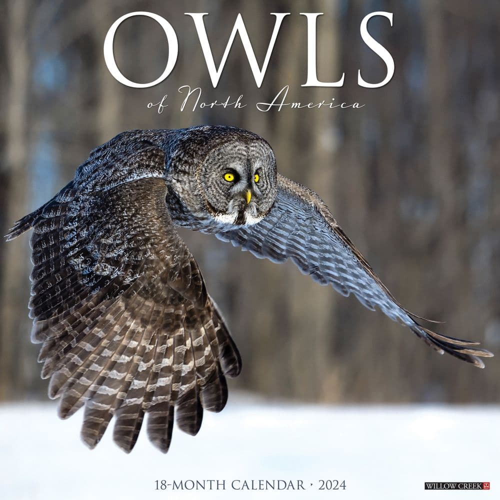 Owls 2024 Wall Calendar