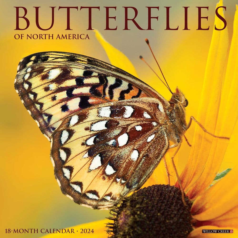 Butterflies 2024 Wall Calendar